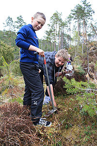 Fylkesnytt: Skoleelever planter skog