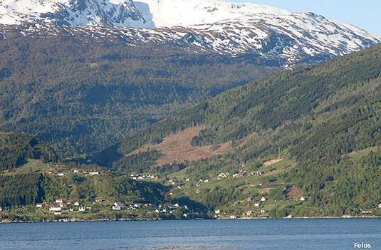 Feios. Foto: Sognekraft
