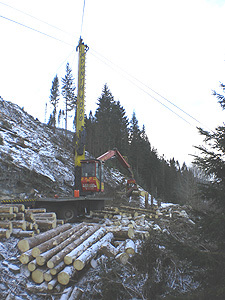 Taubane Holmelid, Fjaler. Foto: Knut David Hustveit