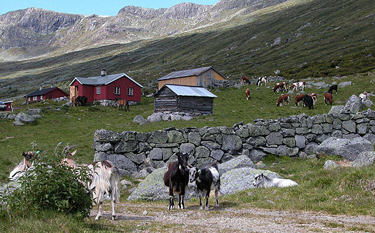 Sanddale-støl i Oppland.