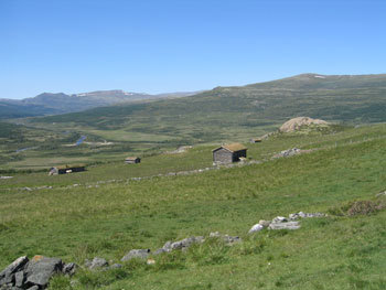 Tollevshaugen Grimsdalen i Dovre. Foto: Stig Horsberg