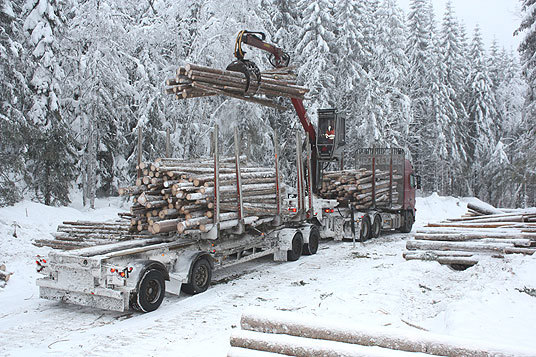Vinterbilveg i Stange almenning 2010