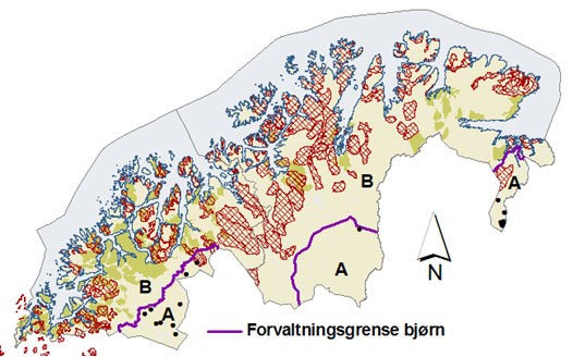 Kart som visergeografisk differensiert forvaltning av bjørn i region 8, Troms og Finnmark