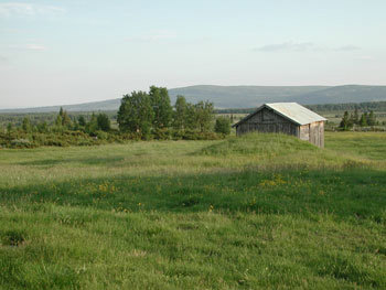 Tyrisholt Stølsvidda i Nord-Aurdal. Foto: Stig Horsberg