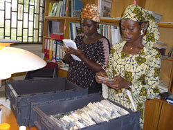 Genebank staff checking accession number as they are packed in shipment box. Photo: IITA