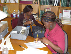 Genebank staff checking accession number as they are packed in shipment box. Photo: IITA