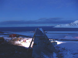 Photo: Mari Tefre/Global Crop Diversity Trust