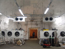 Photo: Mari Tefre/Global Crop Diversity Trust