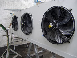 Photo: Mari Tefre/Global Crop Diversity Trust