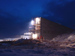 Photo: Mari Tefre/Global Crop Diversity Trust