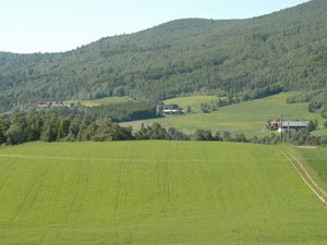 Jordbruk: Jordbrukslandskap
