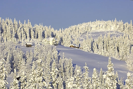 Landbruk: Gårdsbruk i vinterdrakt.