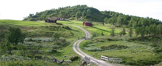 Kulturlandskap: Spellmovollen i Vangrøftdalen i Os kommune. Foto: Yngve Rekdal, Skog og landskap