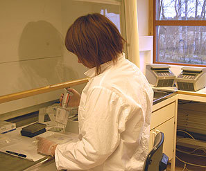 Landbruksforskning: Laboratoriet ved Bioforsk Jord og miljø Svanhovd er nå akkreditert etter standard ISO 17025 for DNA -analyser for individbestemmelse av brunbjørn.