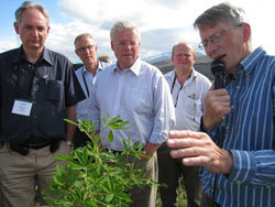 Skogplanting mot erosjon. Foto: LMD