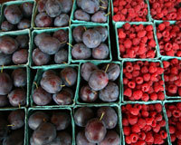 Økologisk: Plommer og bringebær. Foto: Roger Hardy, Samfoto