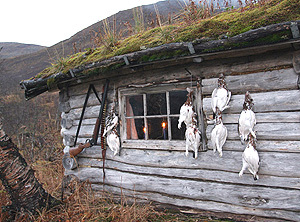 Statskog: Store mengder av gode turtips er bare et par tastetrykk unna. Foto: Statskog