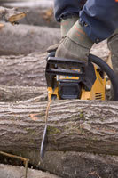 Skog: Motorsag. Foto: Bård Næss, Samfoto