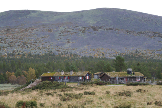 Seter i Misterdalen i Sølen landskapsvernområde. Foto: Hilde Nystuen.