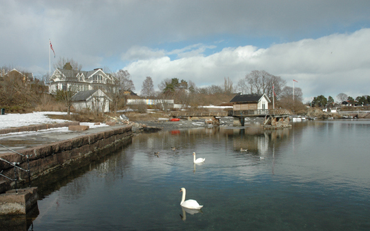 Huk på Bygdøy. Foto: Marianne Gjørv.