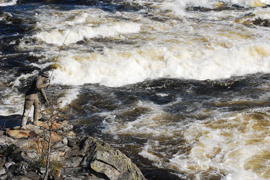 Som en følge av forvaltningsreformen blir fylkeskommunen vannregionmyndighet i tillegg til å få ansvar for friluftsliv og forvaltning av høstbare arter av vilt og innlandsfisk.