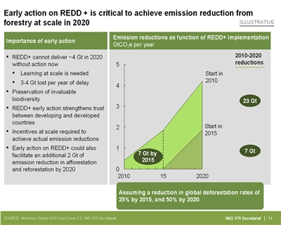 abatement potential from forests in developing countries
