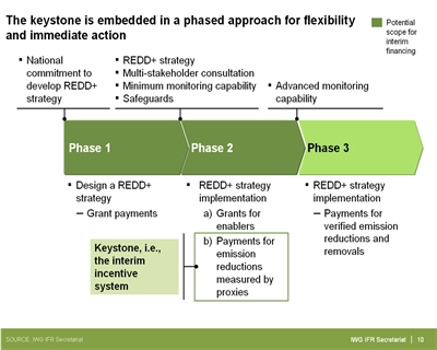 a 3-phased approach to REDD