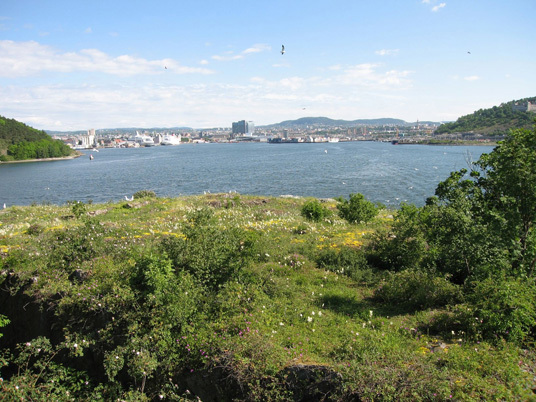 Bleikøya naturreservat. Foto: Jon Markussen.