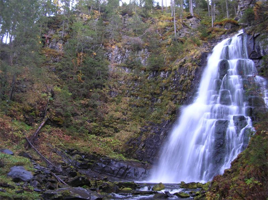 Flokoa naturreservat er en bekkekløft hvor skogen har en særpreget fuktighetskrevende lavflora. Fotograf: Tom Hellik Hofton