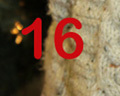16 desember