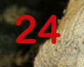24 desember