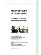 Rapport om biodrivstoff