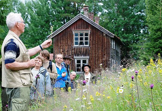 Botanikeren forteller om plantene i enga. Slåttedag på Beitlandet i Stjørdal.