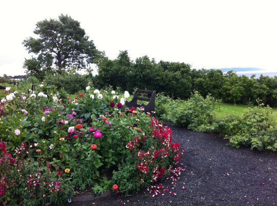 Staudebed fra Den Historiske hagen på Hovelsrud gård i Ringsaker