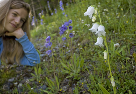 Skjeggklokke med jente i bakgrunnen. Foto: Thor Østbye.