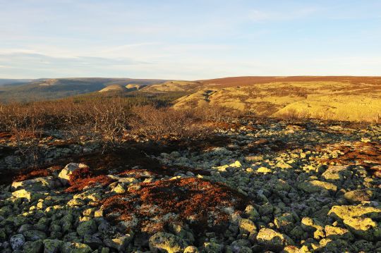 Utsikt nordover mot Gnolla fra Storgnollen (Foto: Trygve Opseth.)