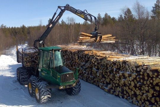 Tømmerdrift i Pasvik