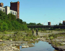 Gjennom EØS-midlene støtter Norge et miljøprosjekt på grensen mellom Estland og Russland. Foto: Piret Marvet