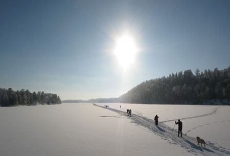 Oslomarka om vinteren. Foto: Steinar Saghaug