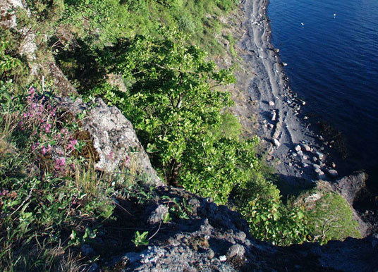 Refsnes, Jeløy i Moss. Foto: Gunnar Bjar.