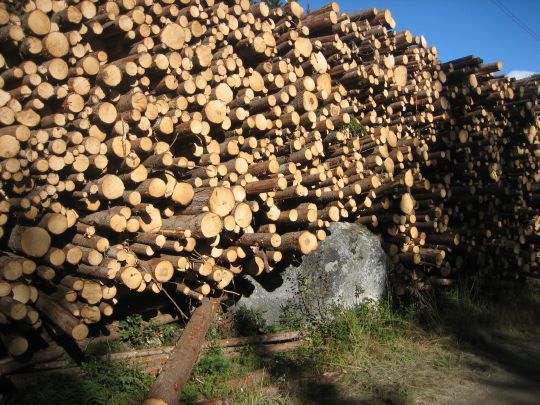 Tømmerlunne av granmassevirke.