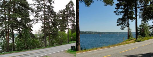Utsiktsrydding langs vei - før og etter, fra Hurum