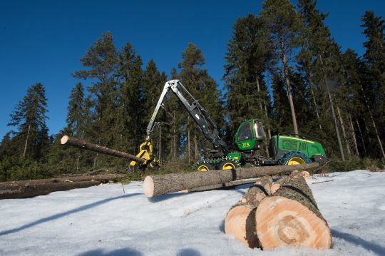 Skogsmaskin, kvisting