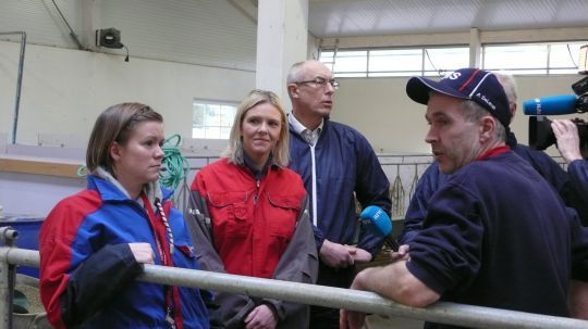 Hos melkebonde Alf Håvard Bro (th)  i Skiptvedt er ting på stell og dyrene har det godt. Det var førsteinspektør Anja Lillehaug (tv), administrerende direktør Harald Gjein i Mattilsynet og landbruks- og matminister Sylvi Listhaug skjønt enige om. 