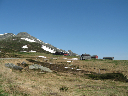 Storeskag med deler av Skaget. Foto: Line Andersen, Fylkesmannen i Oppland.