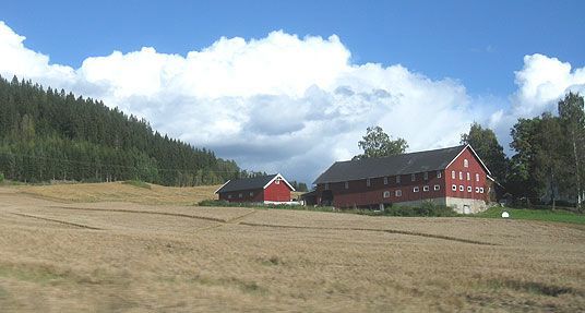 Gårdsbruk