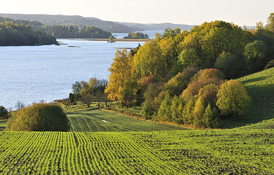 Jordbrukslandskap