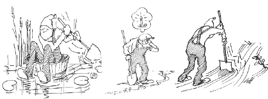 Illustrasjoner. Geir Helgen.