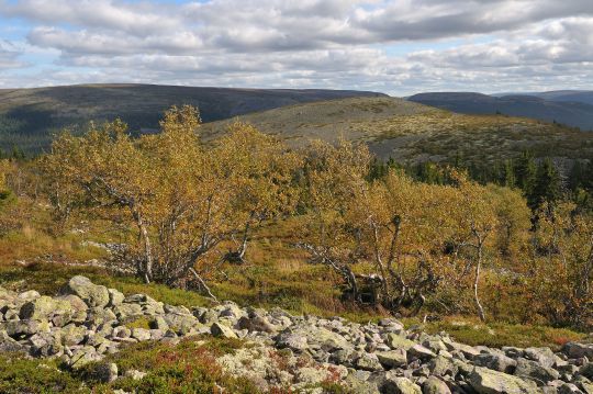 Utsikt mot Girstakken nordfra (Foto: Trygve Opseth.)