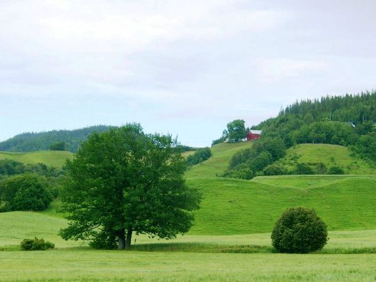 Borgen Gård, Sør-Trøndelag